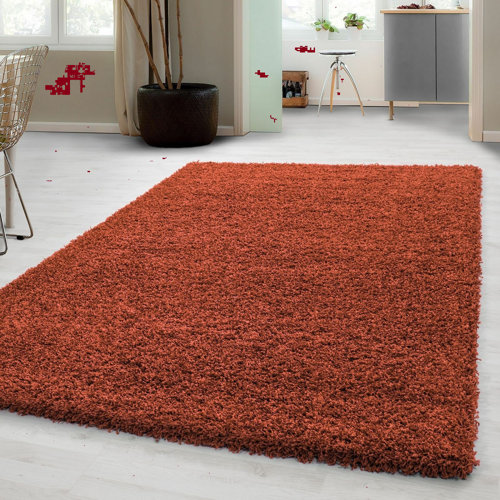 Ebern Designs Emyri Thick Shaggy Large Rugs Hallway Runner Fluffy Non